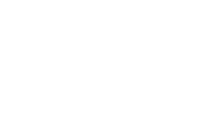 Microsoft Gold Partner